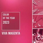 Interior House Painting Ideas Featuring Pantone’s 2023 Color